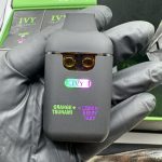 Authentic Ivy Los Angeles Disposable - Dual Flavor