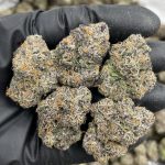 Zkittlez M&M’s Indoor Exotic Flower